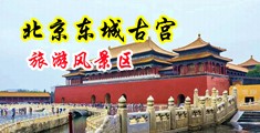 啊~嗯~嗯哼~啊~轮奸中国北京-东城古宫旅游风景区